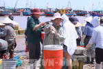 People transport purchased seafood ashore to sell at Giao Hai Fish Market in Giao Phuc commune (Photo: VNA)