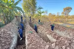 The K53 team recovers the remains of four Vietnamese soldiers fallen in Laos and Cambodia (Photo: VNA)
