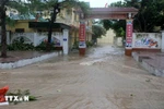 Water floods into Thu Thuy Primary School in Cua Lo ward, Nghe An province (Photo: VNA)