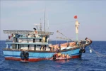 Officers of Coast Guard Region 2 approach a fishing boat of Phu Yen province for inspection. (Photo: VNA)