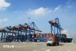 Container trucks operate at the Gemalink International Port in the Cai Mep Seaport Complex in Ho Chi Minh City's Tan Phuoc ward. (Photo: VNA)