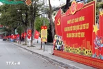 Central streets in localities across the country are adorned with flags and flowers to celebrate the 14th National Party Congress. (Photo: VNA)