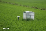 Emission reduction measurement system in rice fields. (Photo: VNA)