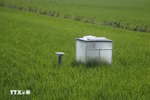 Emission reduction measurement system in rice fields. (Photo: VNA)