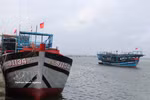 All fishing vessels in Da Nang have now been identified, marked and recorded in the national database, meeting EC requirements. (Photo: VNA)