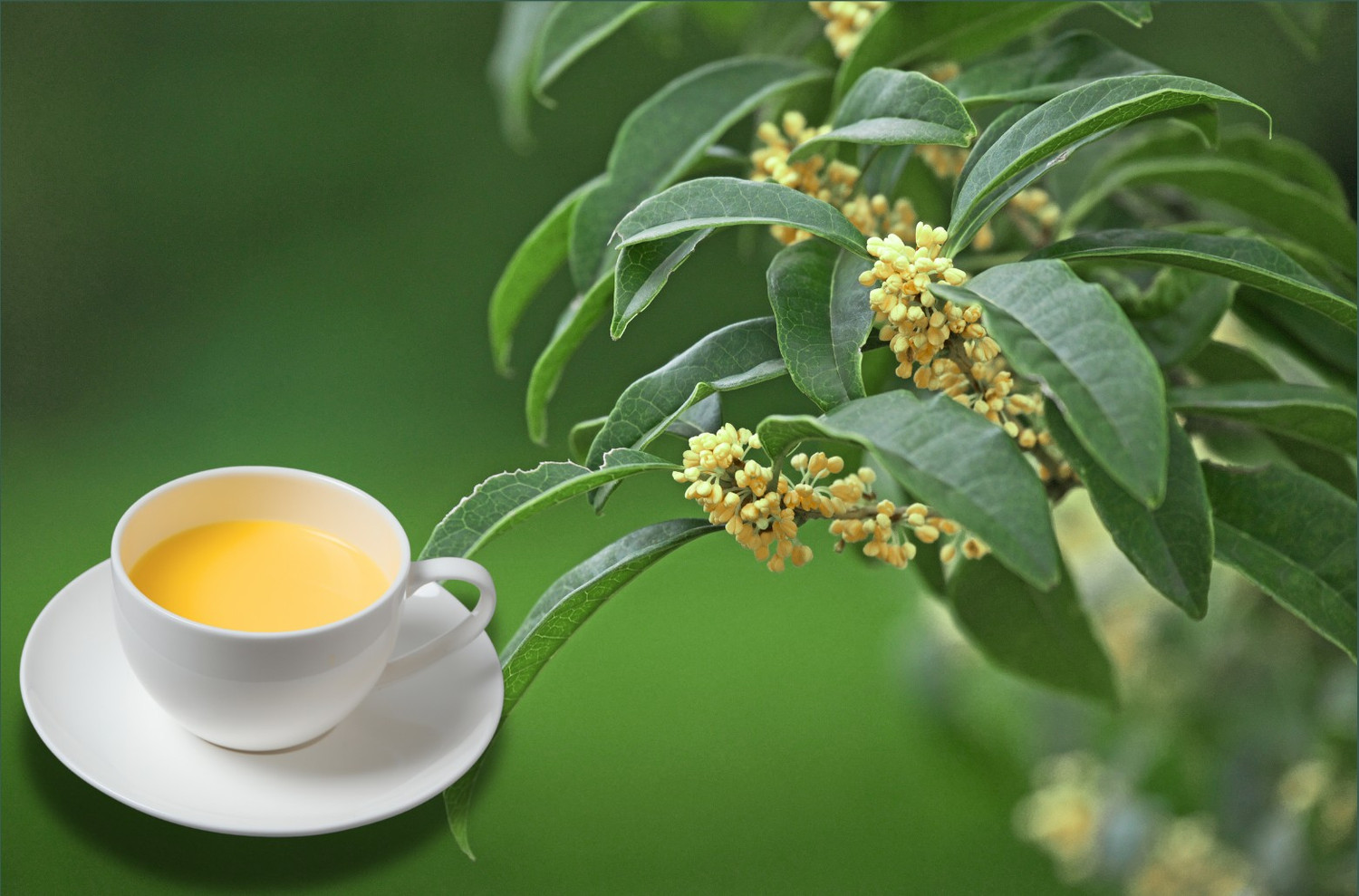 An in-depth look at Vietnam's scented tea market | Vietnam+ (VietnamPlus)