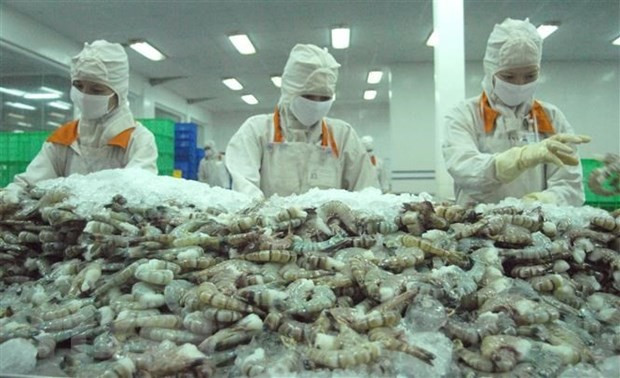 Shrimp exports reached 498 million USD in October, up 26% compared to the same period last year. (Photo: VNA)
