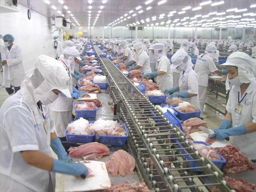 Workers process fish for export. (Photo: VNA)