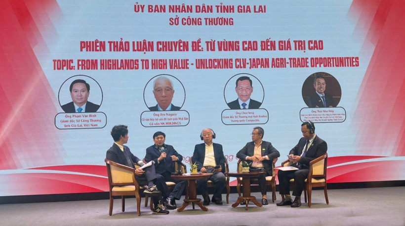 A panel discussion as part of the trade promotion conference in Pleiku city, Gia Lai province, on June 5 (Photo: VNA)