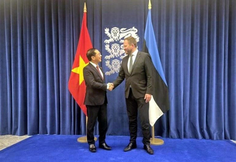 Deputy Prime Minister and Minister of Foreign Affairs Bui Thanh Son (left) meets with Estonian Minister of Foreign Affairs Margus Tsahkna in Tallinn on June 6. (Source: VNA)