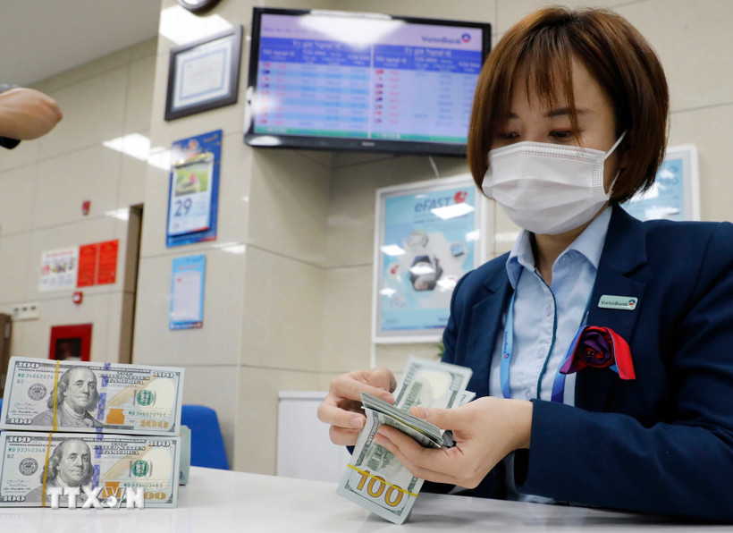 The daily reference exchange is at 25,185 VND/USD on July 18 (Photo: VNA)