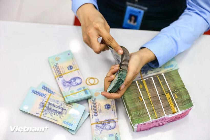 The daily reference exchange rate is set at 25,053 VND on June 26. (Photo: VNA)