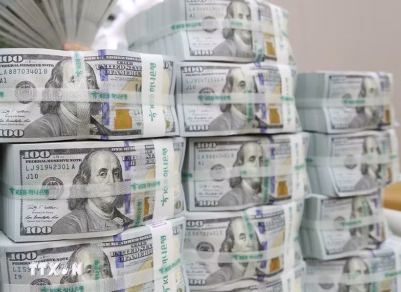 The daily reference exchange rate is set at 25,133 VND/USD on May 19. (Photo: VNA)