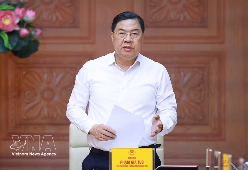 Permanent Deputy Prime Minister Pham Gia Tuc (Photo: VNA)