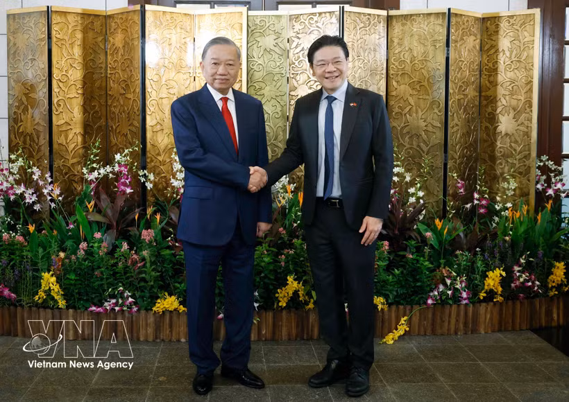 General Secretary of the Communist Party of Vietnam Central Committee and State President To Lam (left) meets with Singaporean Prime Minister Lawrence Wong on May 29. (Photo: VNA)