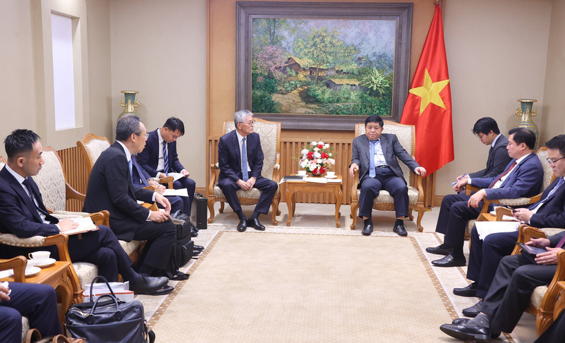 The meeting between Deputy Prime Minister Nguyen Chi Dung (right) and Honna Hitoshi, Representative Director and President of Japan’s Erex Corporation, on July 4, 2025. (Photo: VNA)