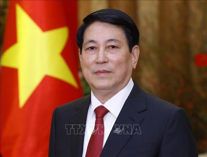Vietnamese President Luong Cuong (Photo: VNA)