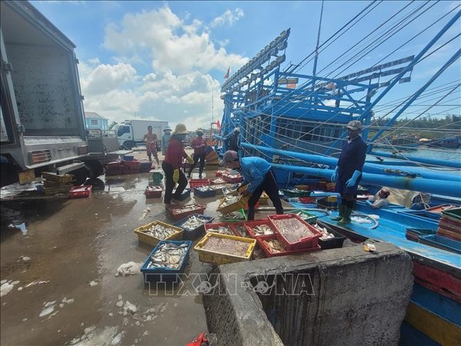 Seafood from a fishing vessel is unloaded at the Binh Chau fishing port in HCM City. (Photo: VNA)