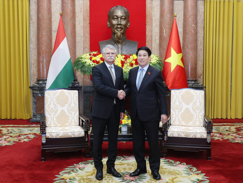 Vietnamese President Luong Cuong (R) and Speaker of the Hungarian National Assembly Kover Laszlo meet in Hanoi on October 20. (VNA)