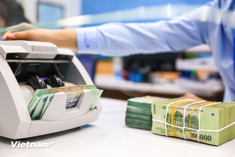 The daily reference exchange is set at 25,243 VND/USD on August 12. (Photo: VNA)