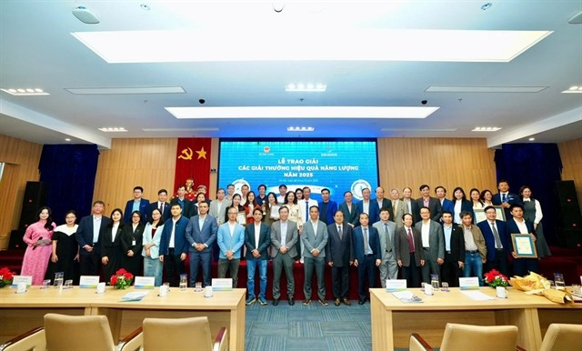 Individuals and organisations honoured with the 2025 Energy Efficiency Awards in Industry and Construction. (Photo: bnews.vn)