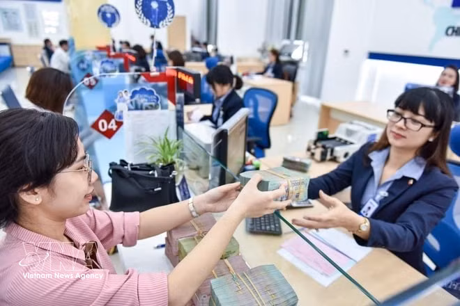 The daily reference exchange rate is set at 25,102 VND/USD on March 31. (Illustrative photo: VNA)