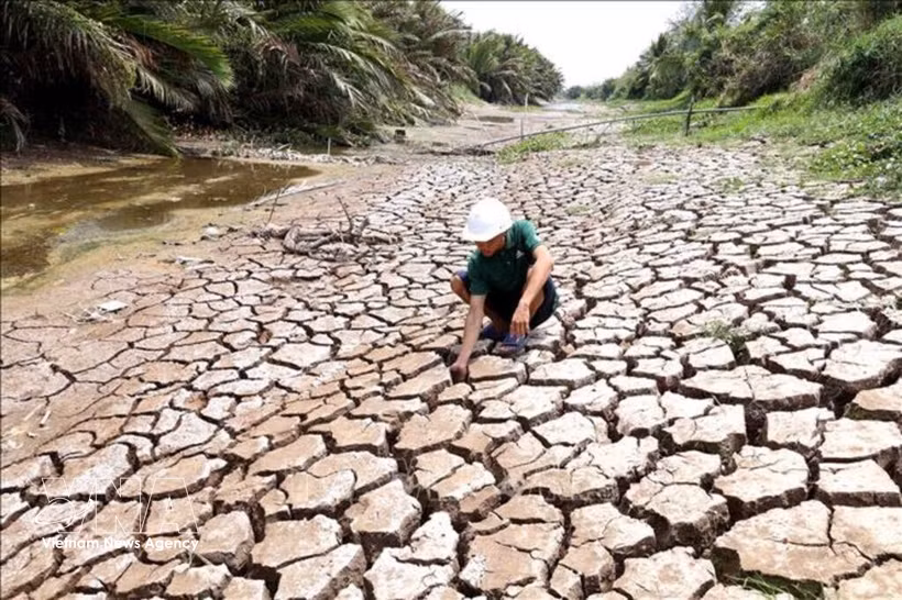 Vietnam is exerting efforts to cope with climate change. (Illustrative photo: VNA)