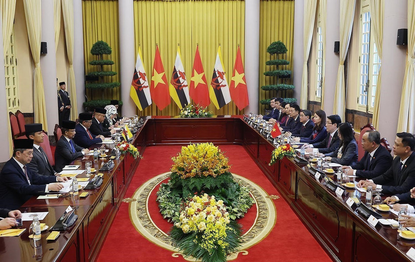 The talks between State President Luong Cuong and Sultan of Brunei Haji Hassanal Bolkiah in Hanoi on December 1 (Photo: VNA)