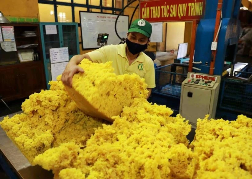 Processing rubber for export at a factory of the Phu Rieng company in Binh Phuoc province (Photo: VNA)