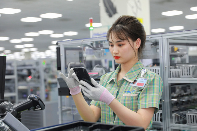 The index of industrial production (IIP) for the whole year increased by 8.4% compared to the previous year. (Photo: VietnamPlus) iip.jpg