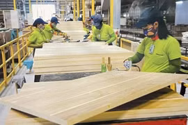 Workers at a factory in the southern province of Binh Duong process wood for export. (Photo: VNA)