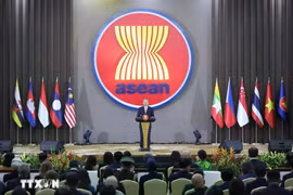 Party General Secretary To Lam delivers a speech at the ceremony marking the 30th anniversary of Vietnam's accession to ASEAN. (Photo: VNA)