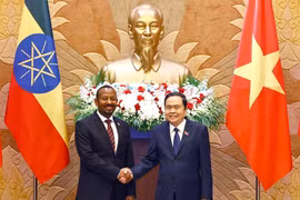 National Assembly Chairman Tran Thanh Man (R) shakes hands with Prime Minister of Ethiopia Abiy Ahmed Ali. (Photo: VNA)