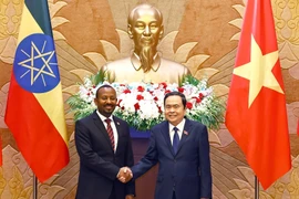 National Assembly Chairman Tran Thanh Man (R) shakes hands with Prime Minister of Ethiopia Abiy Ahmed Ali. (Photo: VNA)