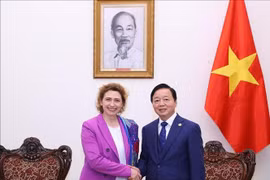 Deputy Prime Minister Tran Hong Ha (R) and Vice-President of EIB Nicola Beer at their meeting in Hanoi on March 13 (Photo: VNA)