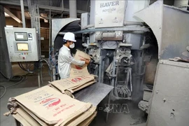 A cement production line at Thang Long Cement JSC invested by Indonesia in Quang Ninh. (Photo: VNA)