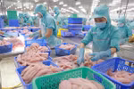 Vietnamese fisheries sector navigating headwinds in US market