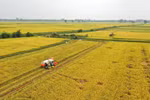 Vietnam’s agricultural sector targets 15% emission cut by 2035