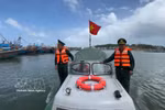 Quang Ngai tightens fishing vessel data checks to lift IUU “yellow card”