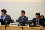 Vietnam highlights achievements in promoting civil and political rights