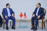 Vietnamese, Malaysian PMs meet on BRICS summit sidelines