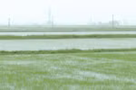 Heavy rains and dyke erosion reported after typhoon Wipha
