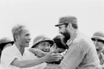65 years of Vietnam-Cuba relations: Shining symbol of friendship in the 21st century