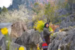 Ha Giang emerging as popular destination for international tourists