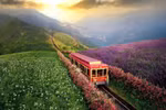 Lao Cai – Yen Bai merger: Positive outlook for green tourism development