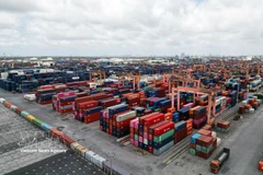 Containers of goods at Tan Vu Port, Hai Phong city (Photo: VNA)
