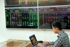 An investor at a securities firm's trading room in Hanoi (Photo: VNA)