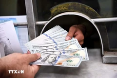 The daily reference exchange is set at 25,239 VND/USD on August 7. (Photo: VNA)