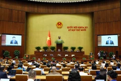 An overview of the 10th session of the 15th National Assembly (Photo: VNA)