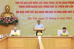 PM Pham Minh Chinh chairs the national teleconference on June 22. (Photo: VNA)
